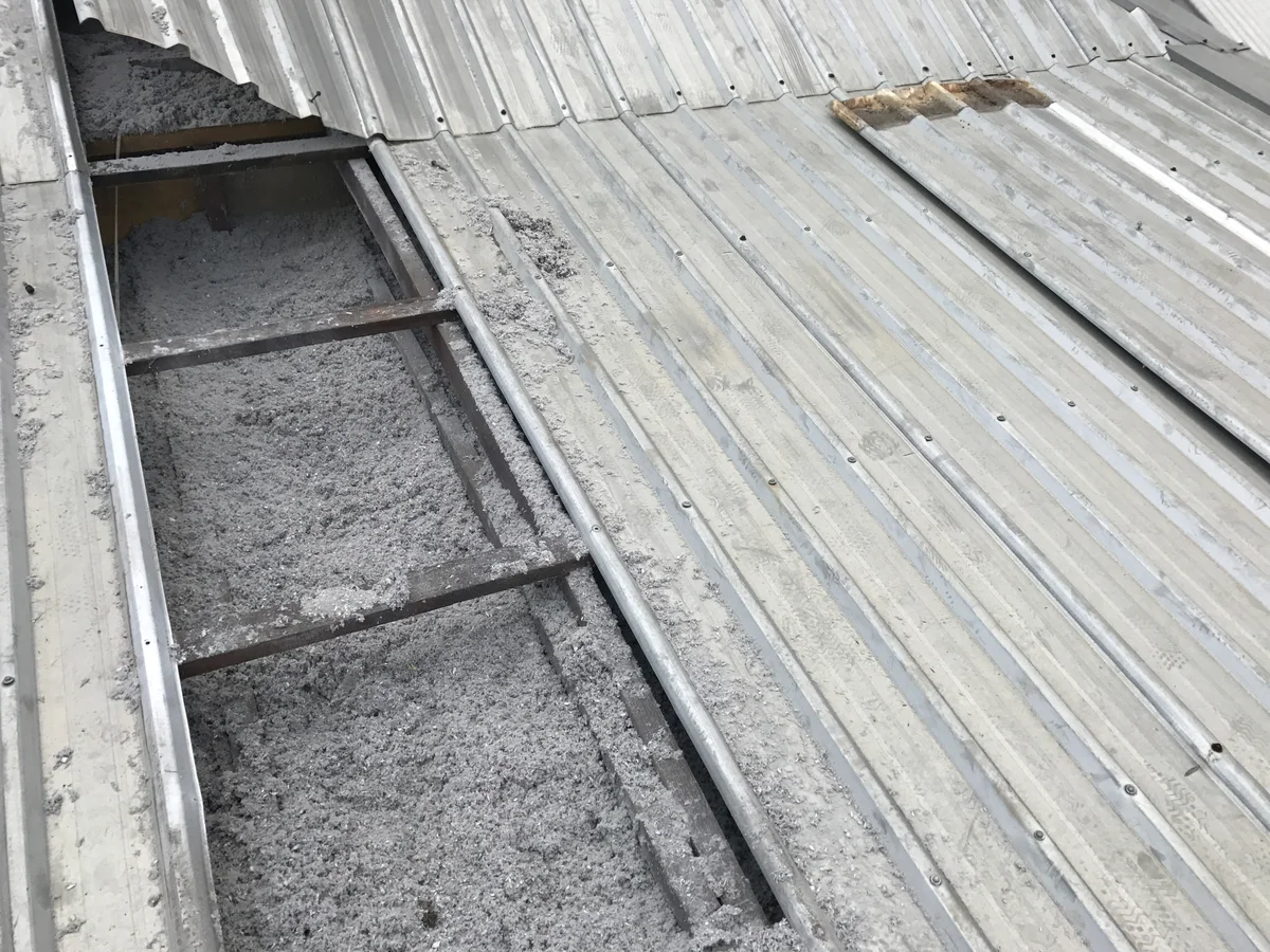 Grey cellulose fibre insulation filling a very low-pitch metal roof, photographed with several roof sheets lifted off. The insulation lies as one continuous blanket over the steel battens and fills each bay right out to the edges, with the remaining fixed roof sheets running away to the right.