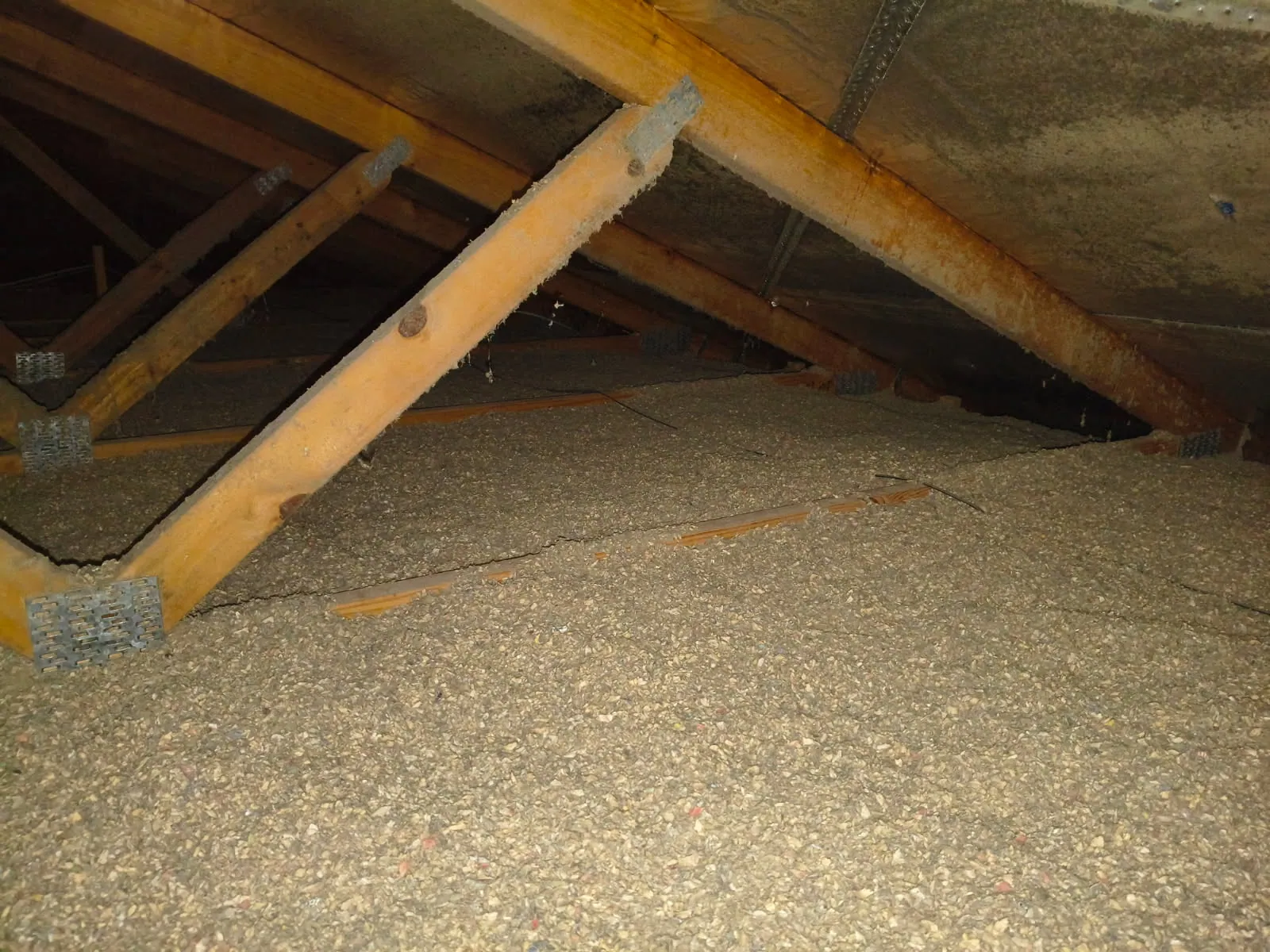 Cellulose insulation between roof trusses near the eaves, undisturbed, timber rafters above.