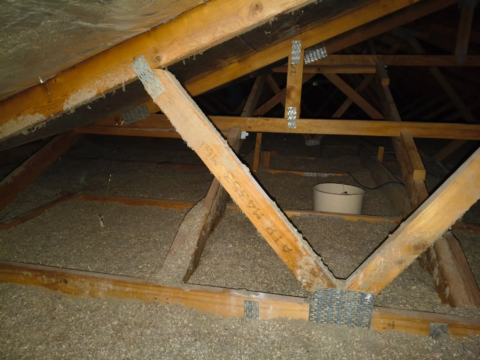 A white downlight can surrounded by level cellulose insulation between trusses, with a blue cable beside it.