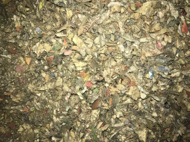 A continuous bed of blown cellulose fibre filling a ceiling cavity wall-to-wall, with no joists or gaps showing through. The recycled-paper fibre settles into every corner as one unbroken blanket rather than sitting in separate pieces like batts.