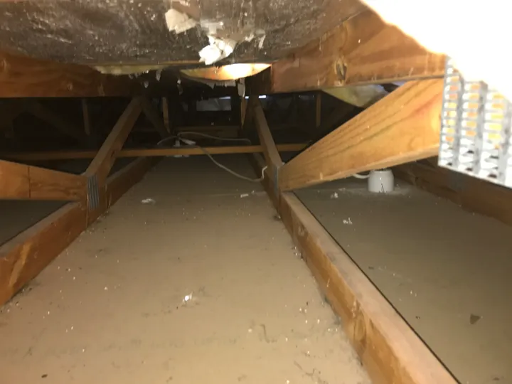 Inside a very low-pitch Gold Coast roof cavity with tight timber trusses and little headroom, where batts can't be laid flat and cellulose is pumped in instead