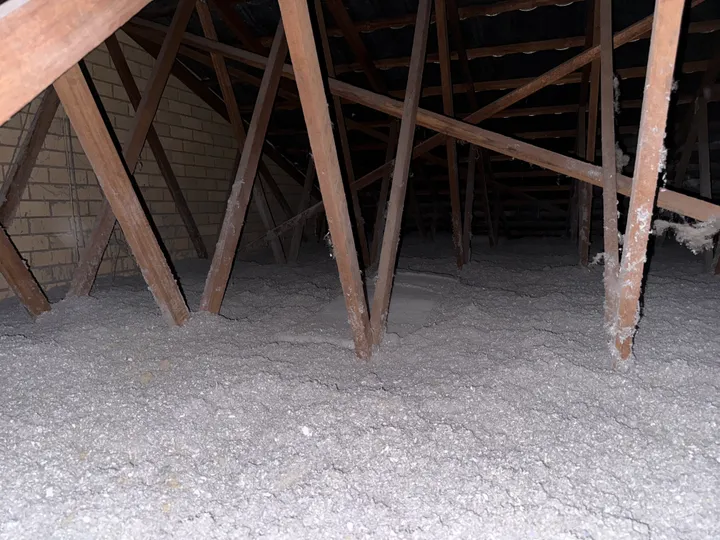 An Ipswich roof space filled with blown cellulose insulation, a deep even layer packed tight around every truss and brace — Ipswich