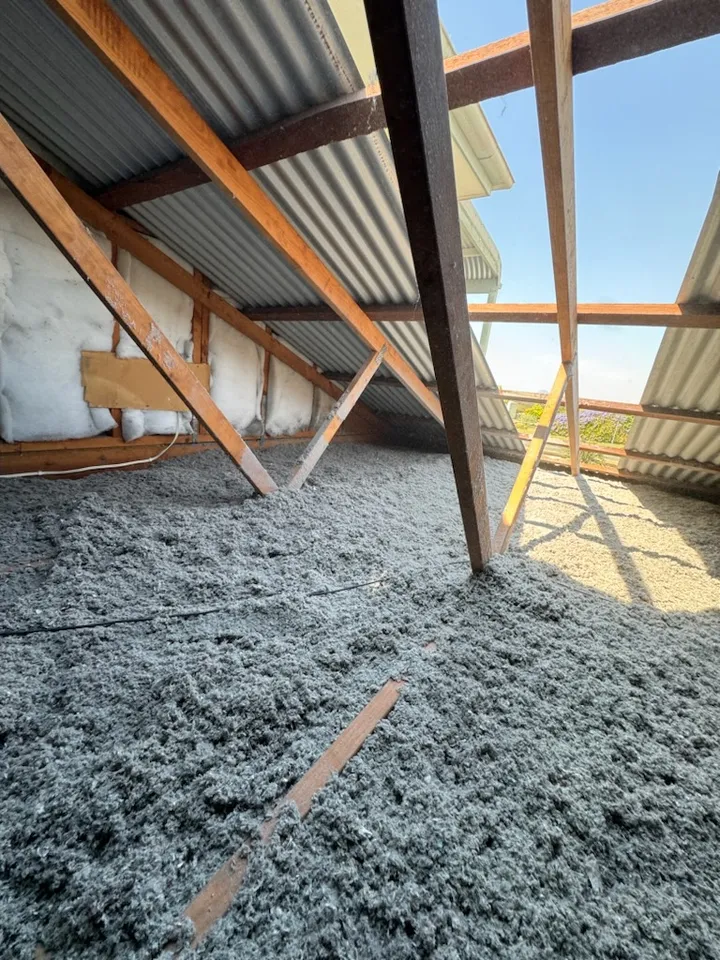 A cross-section of a wall at another Ipswich job densely packed with grey blown cellulose, the fibre filling the whole cavity right out to the timber studs with no voids — the same dense fill we put in ceilings, done in a wall.