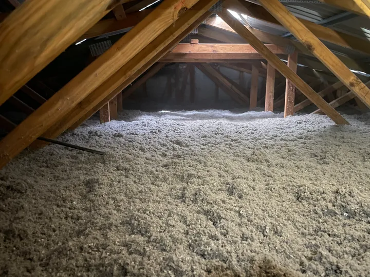 An Ipswich roof space after a Comfort Zone blow-in: an unbroken blanket of grey cellulose laid wall to wall, tucked up to the trusses with no gaps — Ipswich