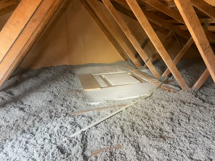 A roof space filled wall-to-wall with an even grey blanket of blown cellulose between the timber trusses, the manhole cover left clear in the middle, no gaps anywhere along the ceiling