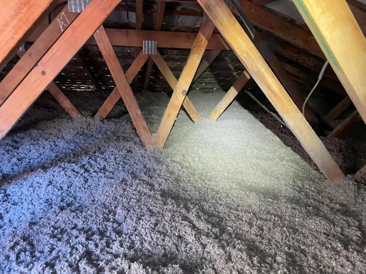 Inside a Moreton Bay roof cavity after a blow: a deep, even blanket of grey cellulose covers the whole ceiling with no gaps around the trusses — Moreton Bay