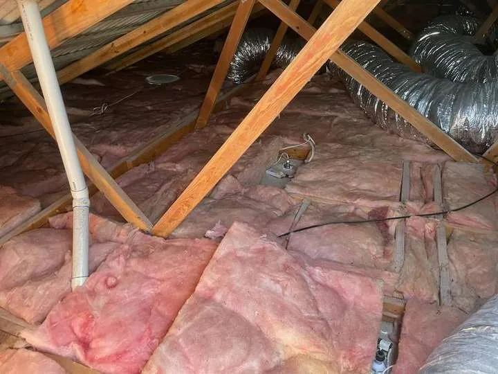 Pink fibreglass batts laid with obvious gaps and an uncovered downlight box, Tallai