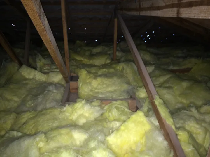 A roof cavity packed with old yellow fibreglass batts that have slumped and pulled apart, leaving lumpy gaps between the timber joists, with daylight visible through holes in the roof above.