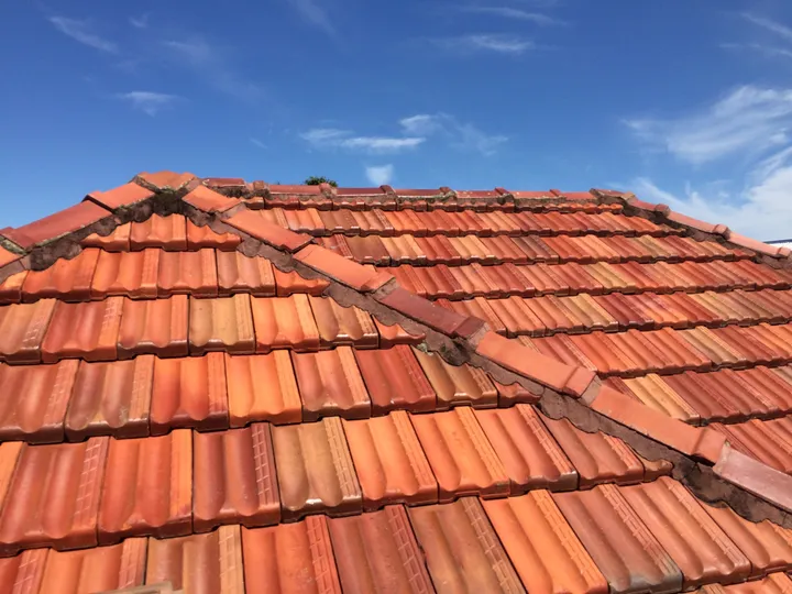 A warm terracotta-tile hip roof against a blue Brisbane sky, with a timber Queenslander behind — the classic inner-suburb roof Comfort Zone insulates from inside