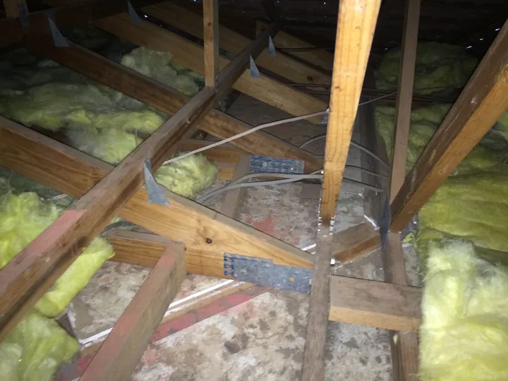 Yellow fibreglass batts laid loosely between timber ceiling joists in a roof space, leaving bare gaps where you can see straight down to the ceiling plaster, with exposed wiring and a roof brace running across the middle.