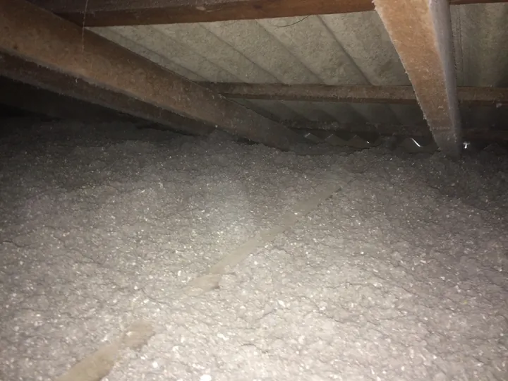 A Super-6 fibro roof cavity filled with an even grey cellulose blanket after pumping, flowing into the eaves and around the timbers