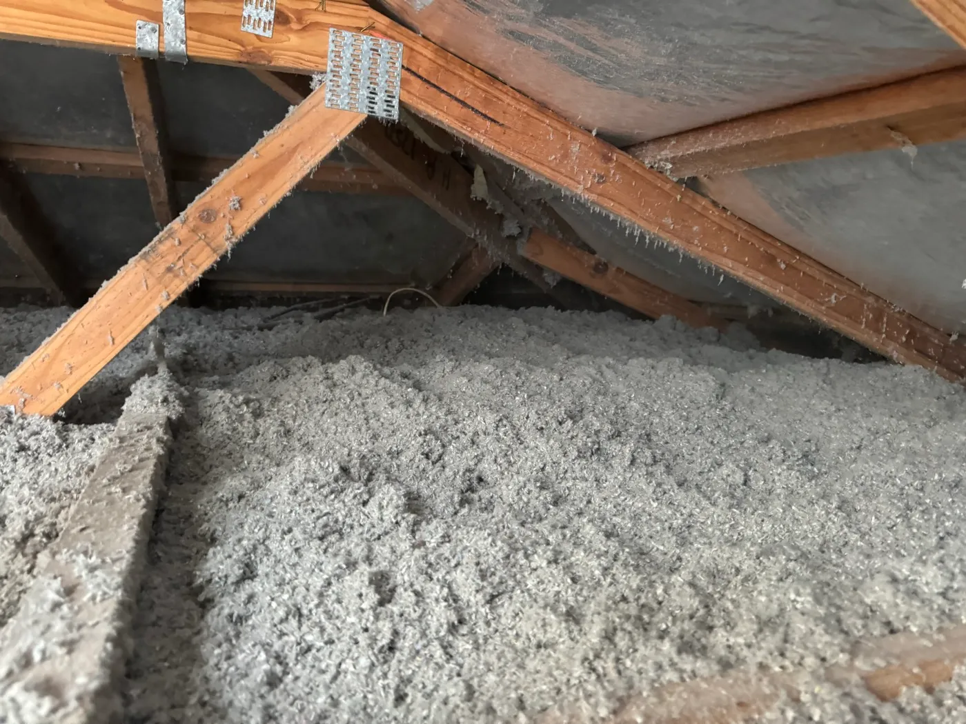 A thick, even blanket of grey cellulose fibre insulation blown over the ceiling trusses with no gaps — Tweed Heads